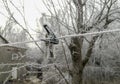 Clothing clothespin in frost on a clothesline outside in winter. clothespin in the ice on the street. in winter, the Royalty Free Stock Photo