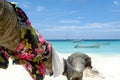 Clothing drying on palm