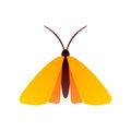 Clothing moth icon