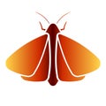 Clothing moth icon