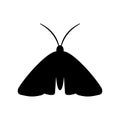 Clothing moth silhouette icon