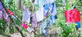 Cloths and trees Royalty Free Stock Photo