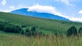 A cloud atop of a blue mountain with a green hill slope, trees, tall grass in foreground