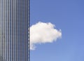 Cloud on the background of a skyscraper. A white light cloud floats across the clear clear summer sky in the business