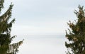 Cloud banks over deep valleys and a faint mountain ridge line on the horizon with clouds above and framed by coniferous fir trees