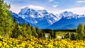 Cloud Blanket over Mount Robson, the highest mountain in the Canadian Rockies Royalty Free Stock Photo
