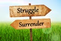 Struggle & surrender Double Road signpost