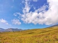 Cloud in the blue sky and yellow grass field. Royalty Free Stock Photo