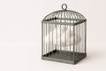 A cloud in a cage as a symbol of loss of freedom. Space for text. Royalty Free Stock Photo