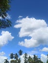 Cloud clear sky bright shady trees Royalty Free Stock Photo