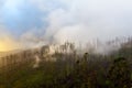 The cloud clung to the mountain, the island of Madeira