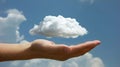 Cloud computing concept. Software as a Service. Communication network