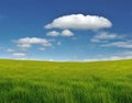 Cloud and field Royalty Free Stock Photo