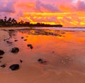 Cloud Filled Sunrise Reflecting on Tide Pools Royalty Free Stock Photo