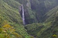 Cloud forests and waterfalls in RÃÂ¨union national park Royalty Free Stock Photo