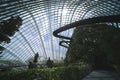 The `Cloud Forest` conservatory at the Gardens by the Bay features a 42m `Cloud Mountain`