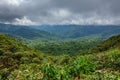 Cloud forest covering Bosque Nuboso Monteverde, Costa Rica Royalty Free Stock Photo