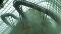 Cloud forest dome conservative in mist, Gardens by the Bay in Singapore