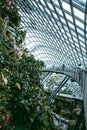 Cloud Forest Dome Conservatory at Gardens by the Bay in Singapore