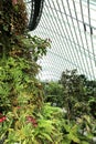 Cloud Forest, Gardens by the Bay.