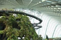 Cloud Forest, Gardens by the Bay.