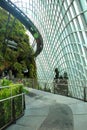 Cloud Forest, Gardens by the Bay.