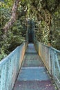 Cloud Forest hanging bridge, Costa Rica Royalty Free Stock Photo