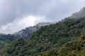 The cloud forest Royalty Free Stock Photo