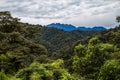 The cloud forest Royalty Free Stock Photo