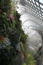 Cloud Forest Walkway Singapore Botanic Garden Royalty Free Stock Photo