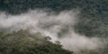 Cloud Forest, South America