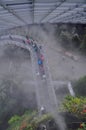 Cloud forest walkway- Gardens by the bay