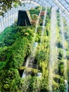 Cloud forest waterfall in the worldÃ¢â¬â¢s largest greenhouse in Gardens by the bay, Singapore