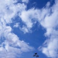 Cloud in the form of heart against the blue sky and Branch Royalty Free Stock Photo