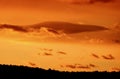 Cloud formation resembling a feather during sunset on an autumn day Jenningsville Pennsylvania