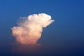 Cloud of the freakish form on the sunset. Royalty Free Stock Photo