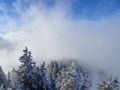 Cloud front over the snowy tree tops Royalty Free Stock Photo