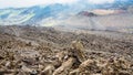 Cloud on frozen lava field on Mount Etna Royalty Free Stock Photo