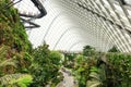 Cloud garden greenhouse in Singapore