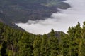 Cloud inversion over forest valley Royalty Free Stock Photo