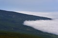Cloud inversion over pine forest Royalty Free Stock Photo