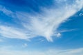 Cloud looks like a phoenix bird. Royalty Free Stock Photo