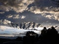 Skeleton fish cloud