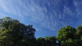 Cloud movment over the forest