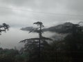 Cloud over mountain in Taradevi Shimla in India