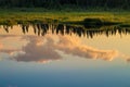 Cloud and pine reflections, sunset