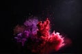 Cloud of red and purple smoke from paint pigment exploding on black background. Royalty Free Stock Photo