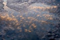 Cloud reflection in a puddle Royalty Free Stock Photo