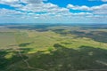 cloud shadow and close-up of lush green field Royalty Free Stock Photo