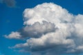 Cloud in the shape of an animal Royalty Free Stock Photo